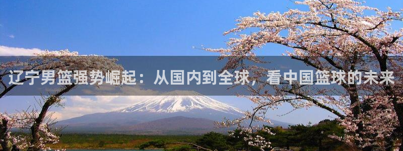 辽宁男篮强势崛起：从国内到全球，看中国篮球的未来